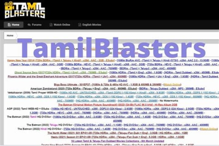 TamilBlasters: The Ultimate Guide to Understanding the Controversial Streaming Platform