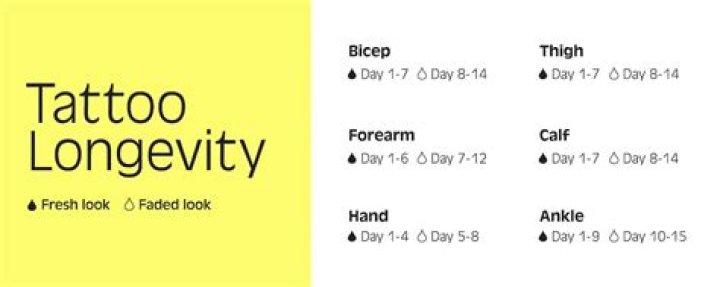 Tattoo Longevity: How to Ensure Your Ink Stays Vibrant for Years