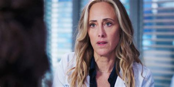 Teddy Altman: A Deep Dive into the Life and Legacy of a Beloved Character