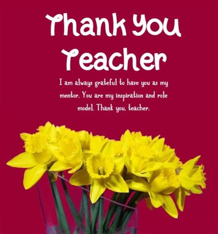 Thank You Quotes for Teachers from Parents: Heartfelt Expressions of Gratitude