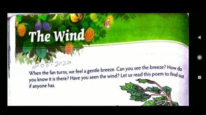 The Whispering Leaves: Decoding "The Tree in the Wind" Poem Answer Key