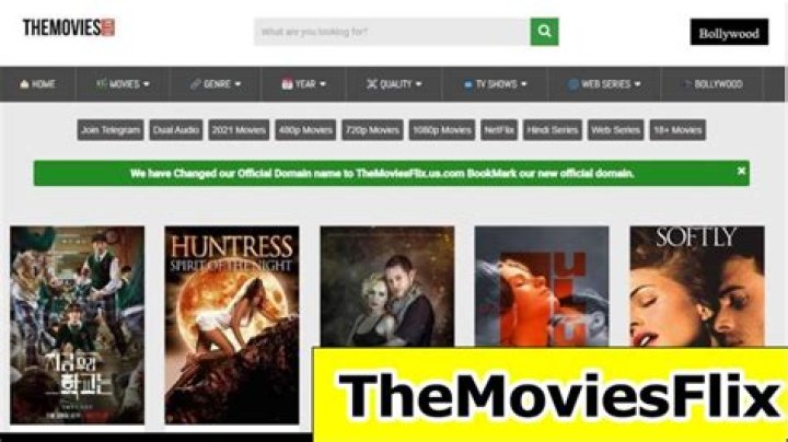 Everything You Need to Know About Themoviesflix: A Comprehensive Guide