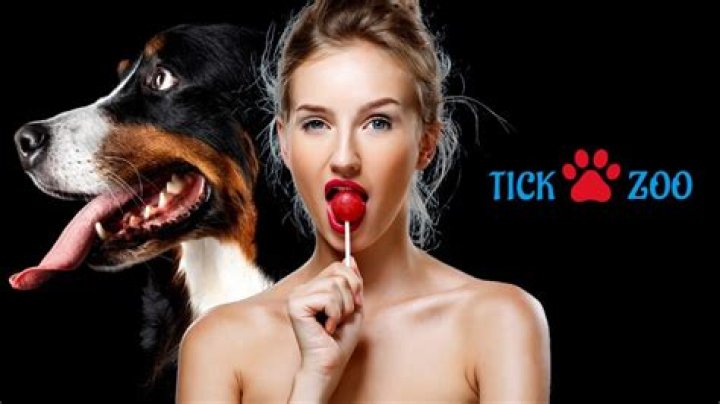 Discover the Wonders of Tickzoo: A Comprehensive Guide