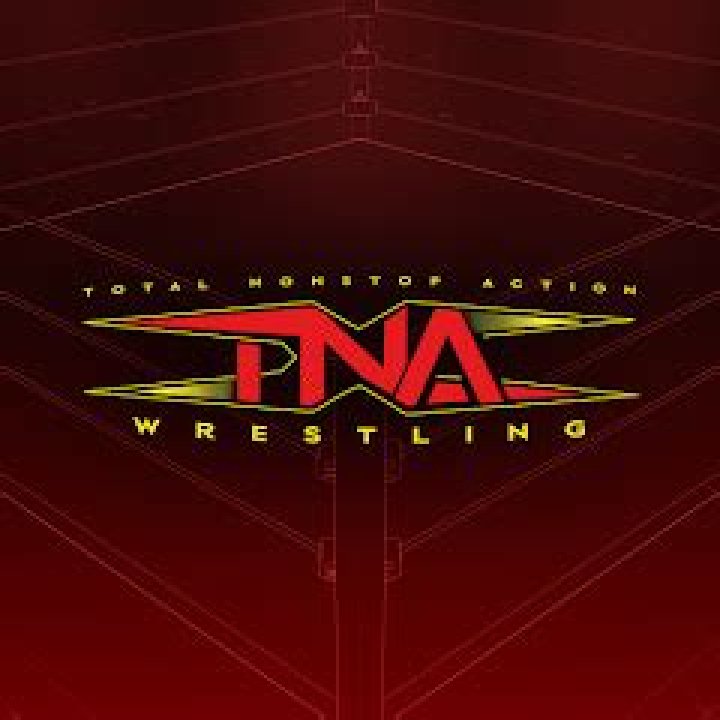 TNA Wrestling Net Worth: A Comprehensive Guide to the Financial Success of a Wrestling Empire