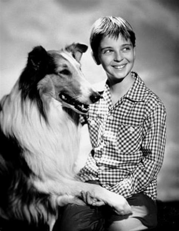 Tommy Rettig: A Comprehensive Look at the Life and Career of a Beloved Child Star