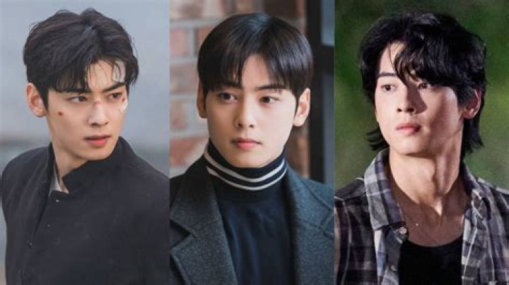 Top TV Shows Featuring Cha Eun-woo: A Complete Guide to His Acting Career