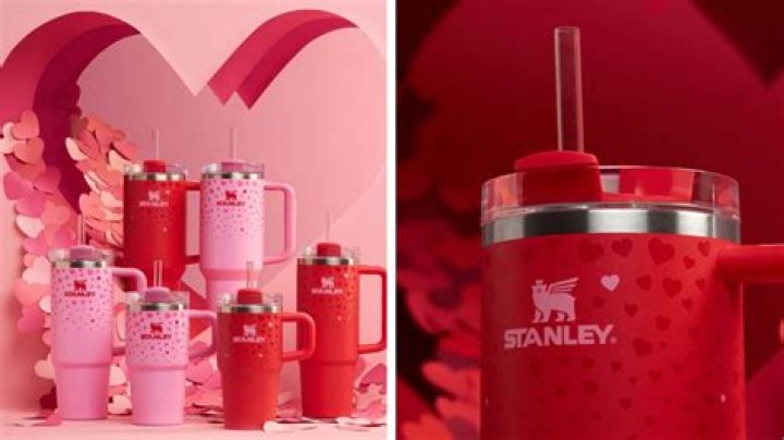 Valentine's Day Stanley: A Comprehensive Guide to Celebrating Love