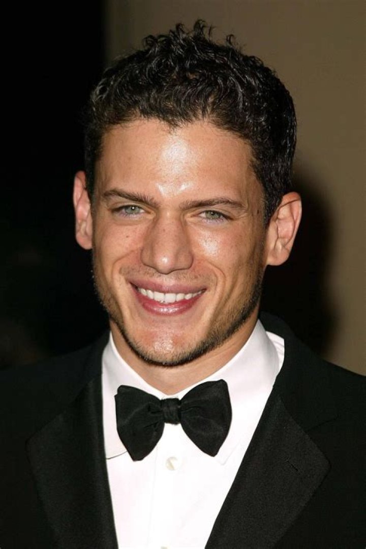 Wentworth Miller: A Comprehensive Look at His Life, Career, and Achievements