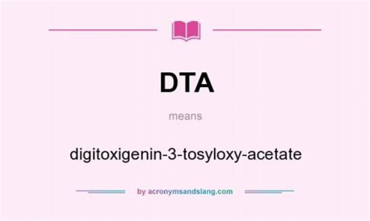 What Does DTA Mean: A Comprehensive Guide to Understanding DTA in Various Contexts
