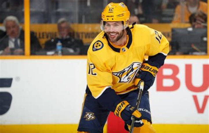 What is Mike Fisher's Net Worth? Unveiling the Wealth of a Hockey Legend