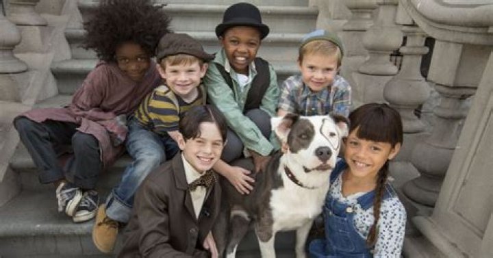 What Was the Dog's Name in The Little Rascals? A Comprehensive Guide to Our Beloved Pet