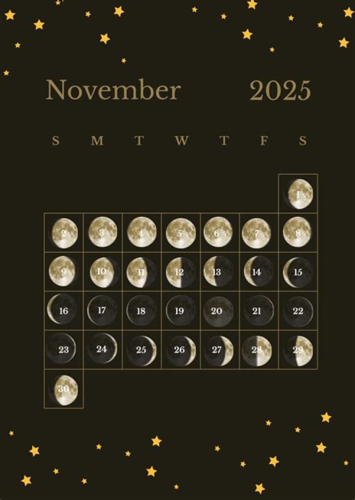 What Zodiac Sign is November 25? Discover Your Astrological Profile