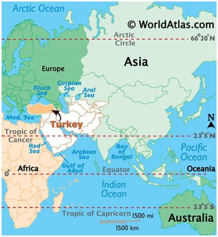 Where is Turkey Tom From? Discovering the Origins of a Beloved Figure