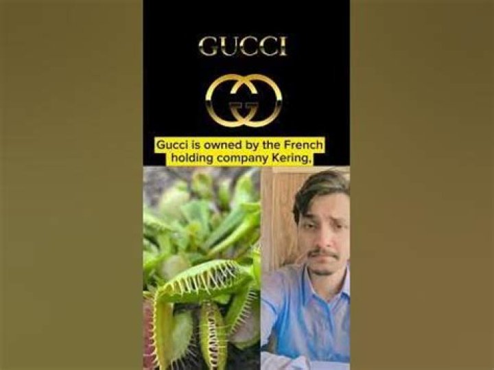 Who Is Gucci Owner: A Deep Dive Into the Luxurious Empire