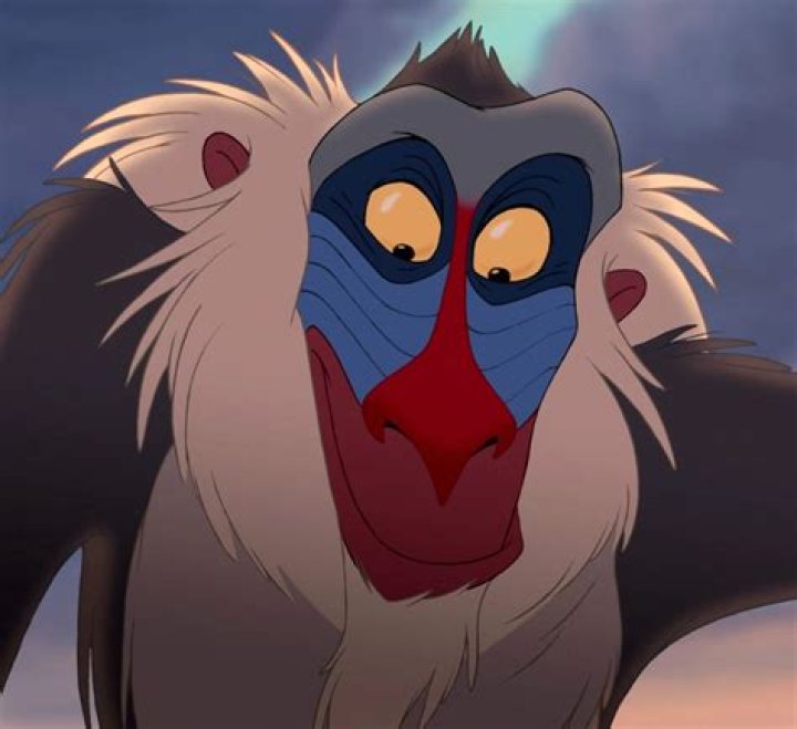 Who is Rafiki in The Lion King? Unveiling the Wise and Mysterious Character