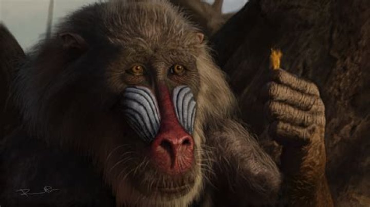 Who is the Mandrill in The Lion King: Unveiling Rafiki's Role and Significance