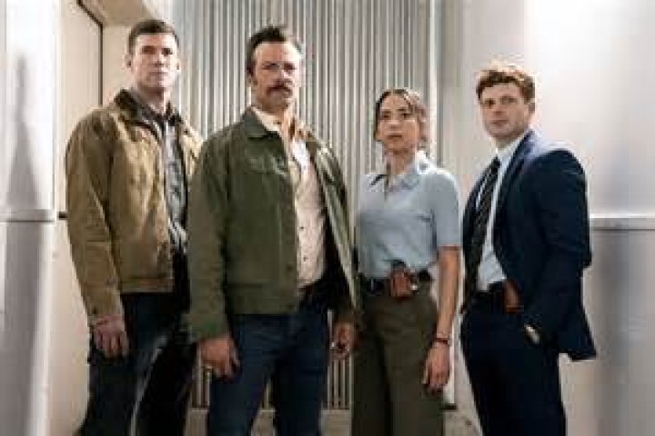 Who Plays Agent David on NCIS: A Comprehensive Guide to the Character and Actor