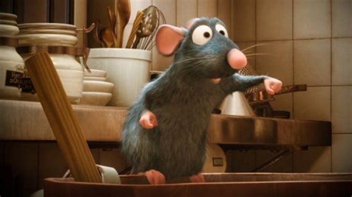 Who Was Adam Scott in Ratatouille? Unveiling the Voice Behind the Character