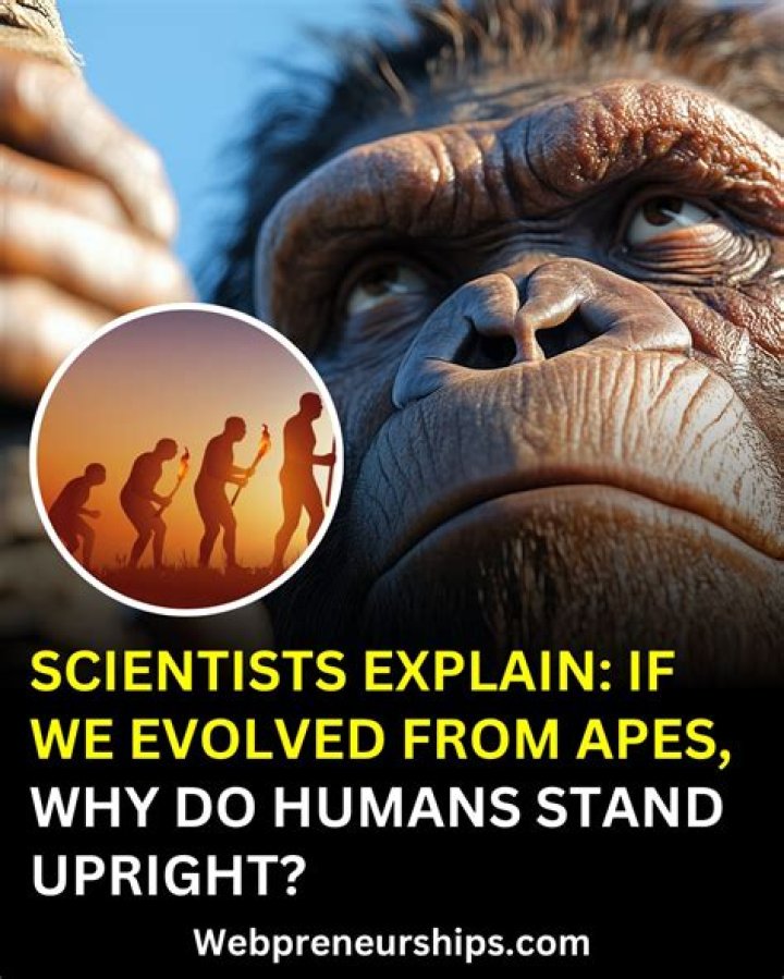 Why Do Humans Gleek: Unveiling the Science and Mystery Behind This Natural Phenomenon