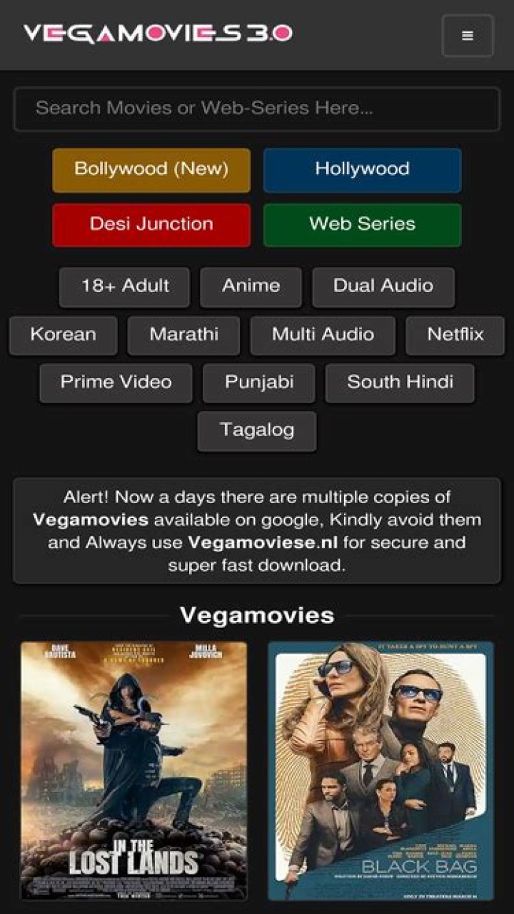 Discover the Best Streaming Experience at www.thevegamovies.tv