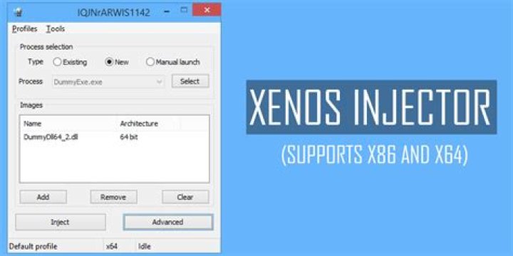 Xenos Injector: The Ultimate Guide to Boosting Your Gaming Experience