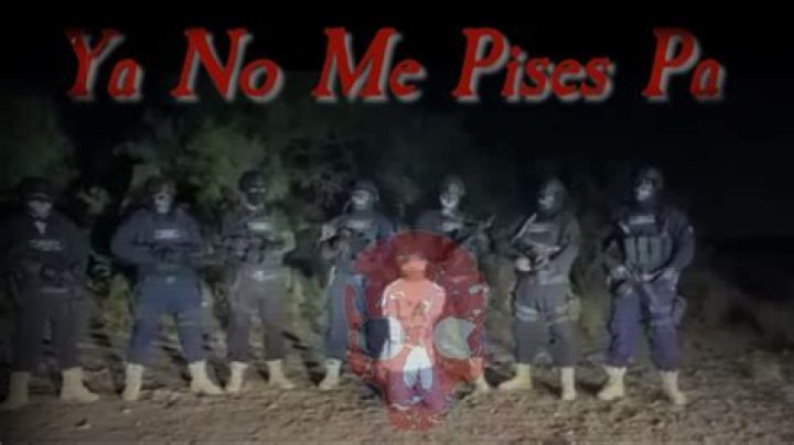 Ya No Me Pises Pa Gore: Understanding the Trend and Its Impact