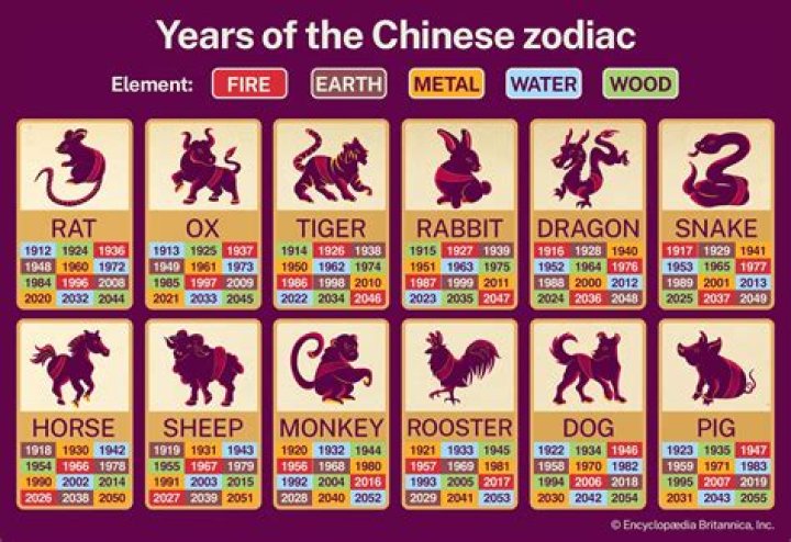 Year 1984 Chinese Zodiac: Unveiling the Mysteries of the Rat