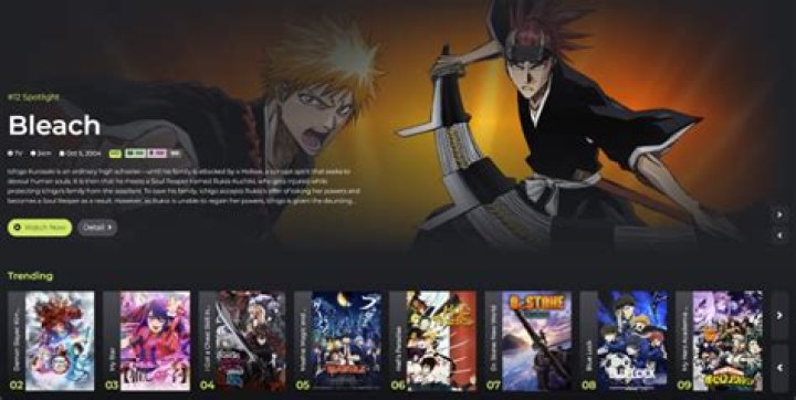 Zoro.to New Site: Your Ultimate Guide to the Best Anime Streaming Platform